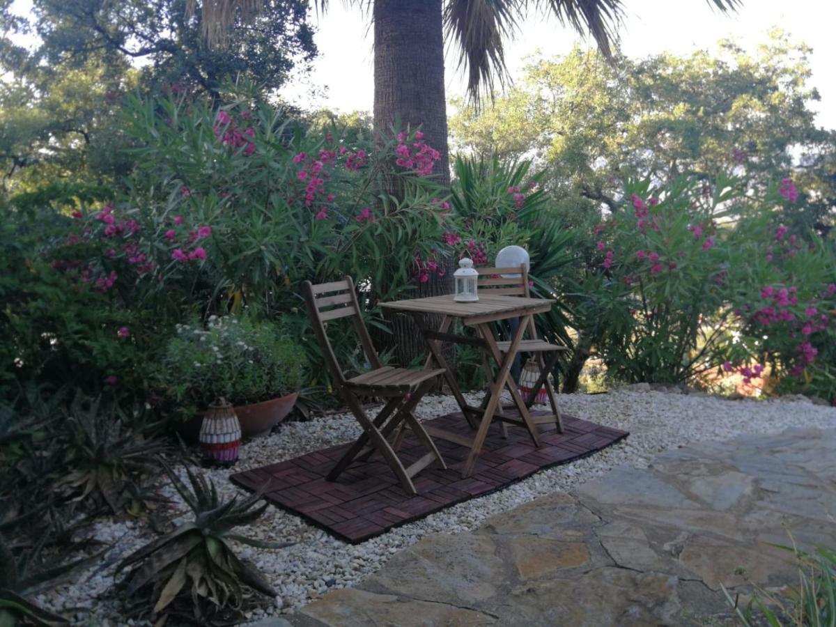 شقة أُخين  في Encantador Y Amplio Estudio A 15 Min De Marbella المظهر الخارجي الصورة